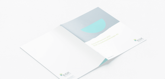 EGK-Gesundheitskasse, Geschäftsbericht