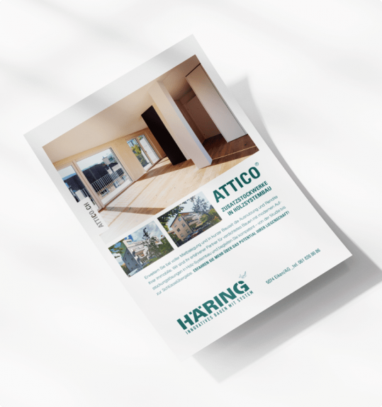 HÄRING FLYERS UND ZEICHEN